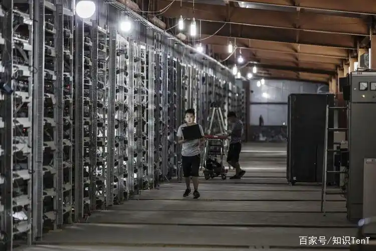 A sprawling cryptocurrency mining farm packed with mining rigs working continuously