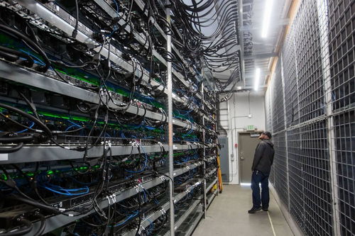 A large-scale mining farm housing multiple Canaan AvalonMiners