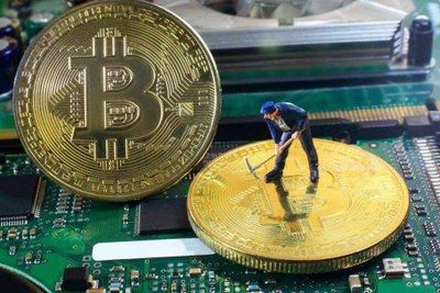 A vibrant mining farm equipped with top-tier mining machines
